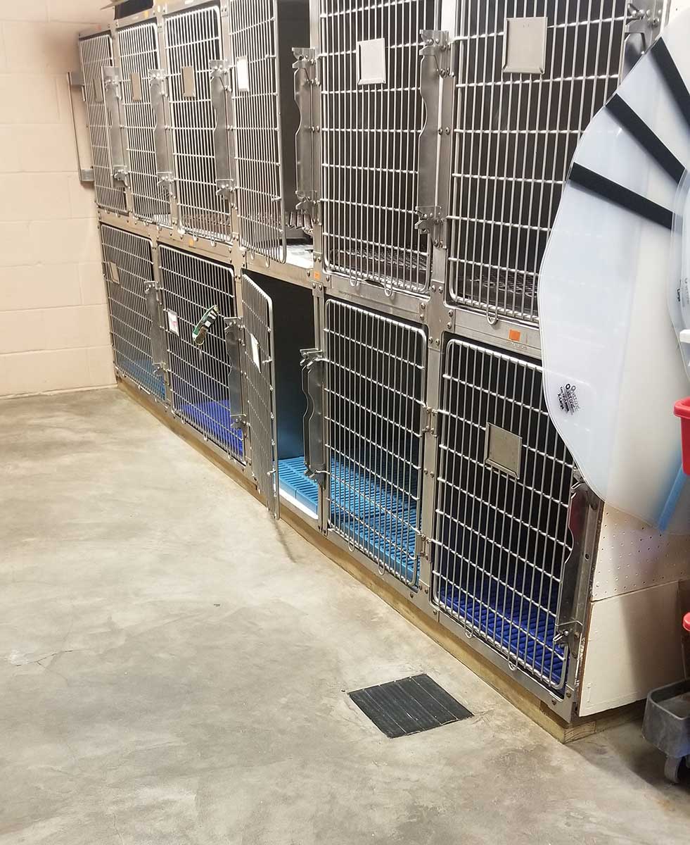 We offer plenty of boarding space for your fur family when you need to be out of town or want extra help when your human family visits.